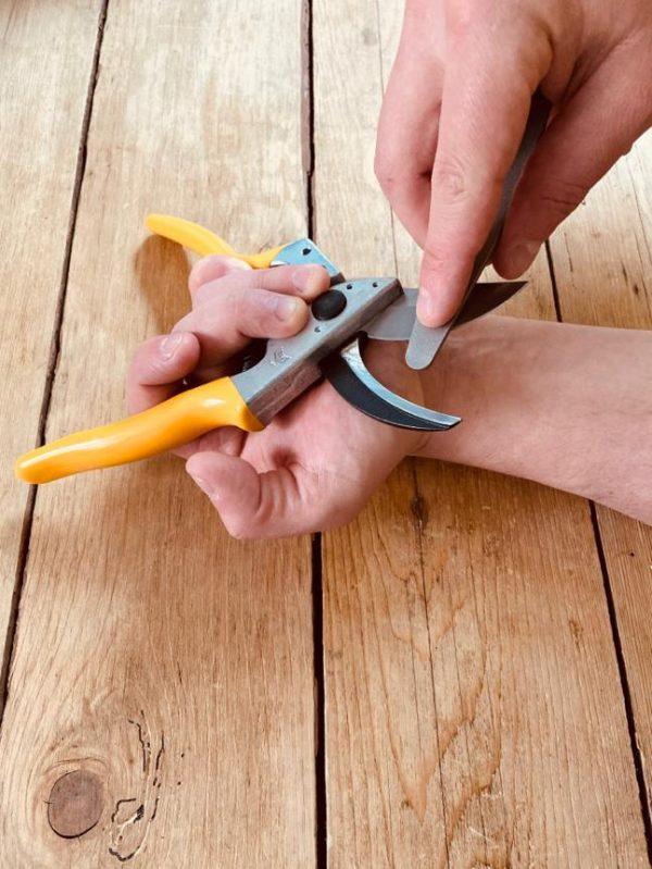 Secateurs Guide