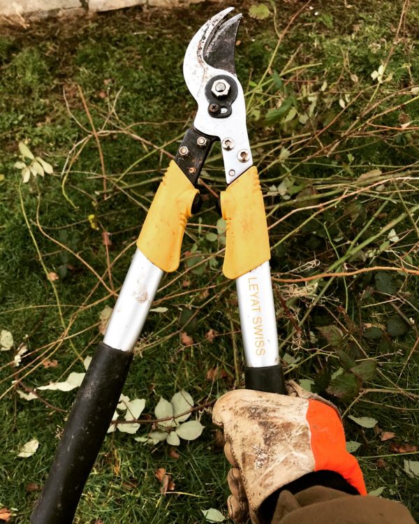 Leyat Professional Compact Loppers Action