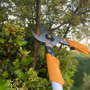 Leyat Professional Pro Loppers (60cm) Action