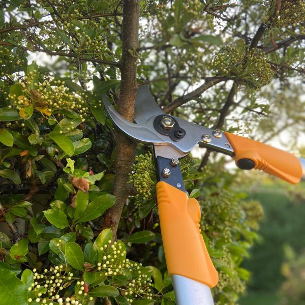 Leyat Professional Pro Loppers (60cm) Action