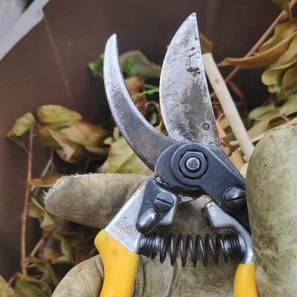 Sharpening Guide
