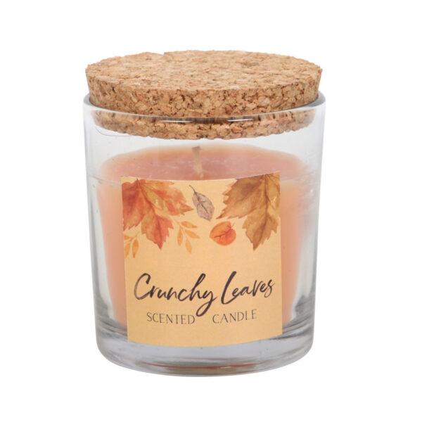 Elements Crunchy Leaves Scented Candle and cork