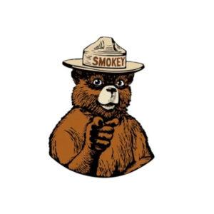 Smokey Bear Vinyl Decal Sticker