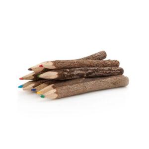 CEuk Twig Pencils (10pcs)